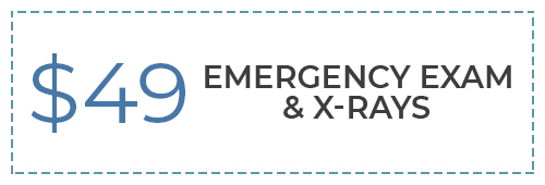$40 emergency exam and x rays